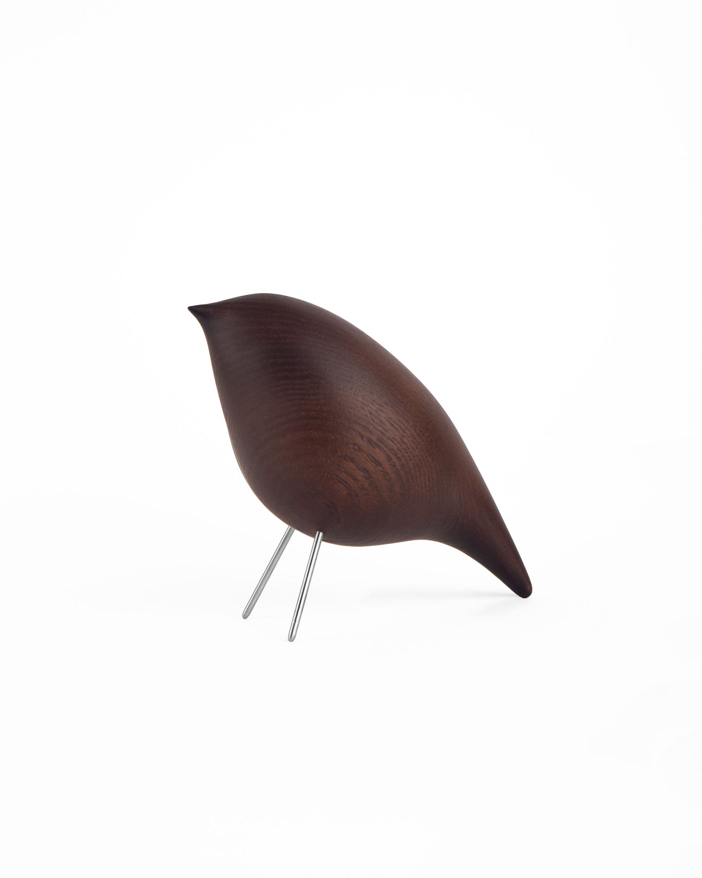 Noom - Oiseau décoratif Tweety CS2