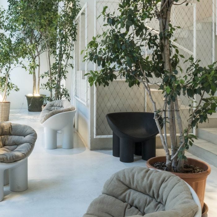 Driade - Fauteuil - Roly Poly