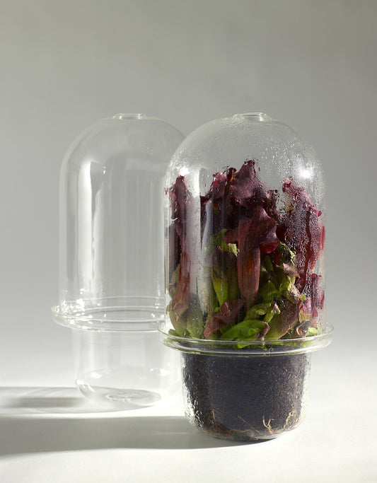 SERAX - Vase L Carnivore