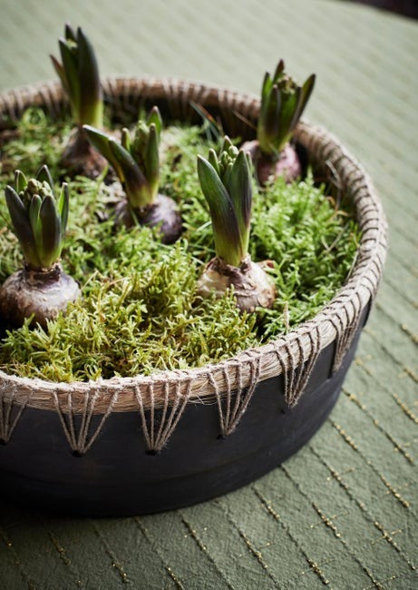 Madam Stoltz - Coupe à fruits en terre cuite