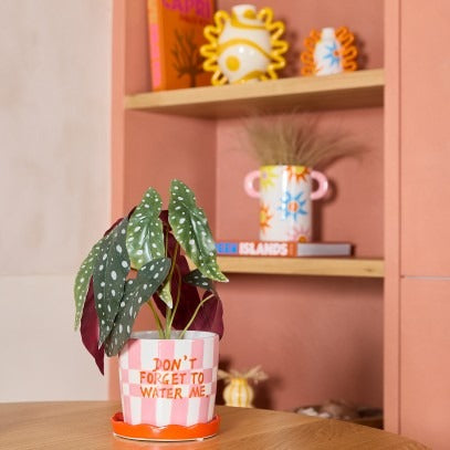 Que Rico - Pot Lior en céramique à rayures rose et rouge